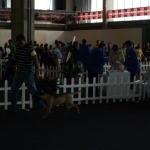 Exposición Canina Badajoz 2012