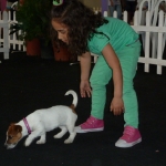 Exposición Canina Badajoz 2012