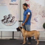 Expo Canina Jaen 2012