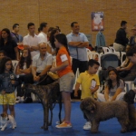 Expo Sevilla 2012
